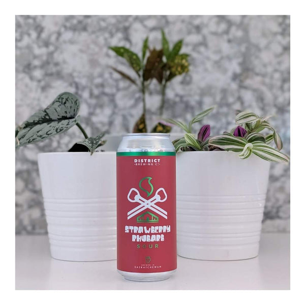 District Brewing Co. Strawberry Rhubarb Sour