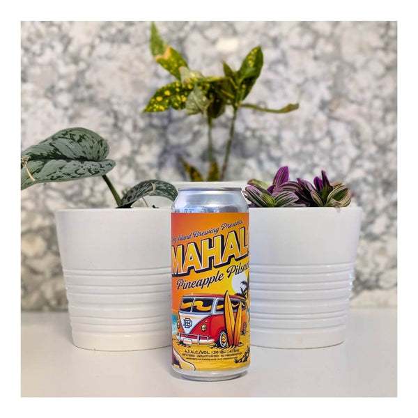 Dog Island Mahalo Pineapple Pilsner