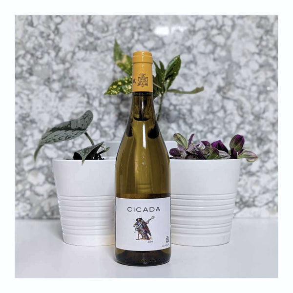 Domaine Chante Cigale Cicada Blanc
