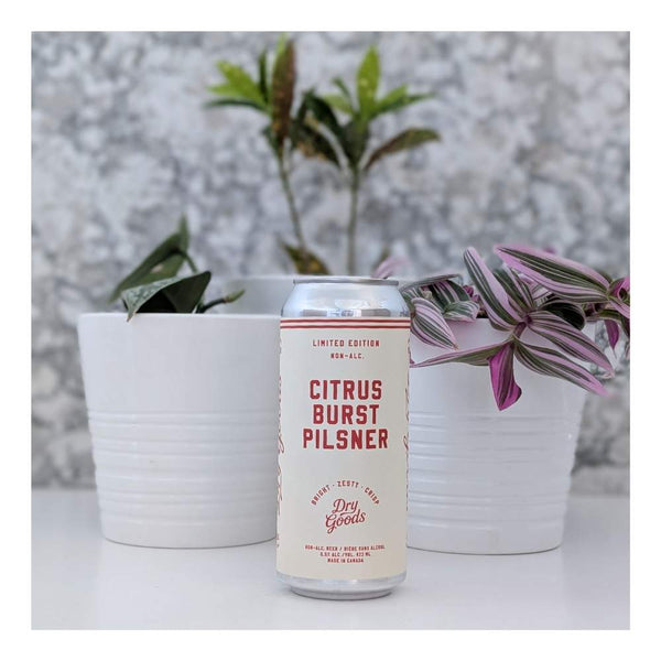 Dry Goods Non-Alcoholic Beer Citrus Burst Pilsner Non-Alcoholic