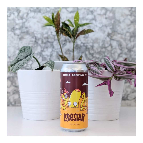 Elora Brewing Co. Lodestar (Mango) Sour