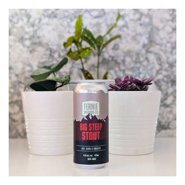 Fernie Brewing Big Steep Irish Stout