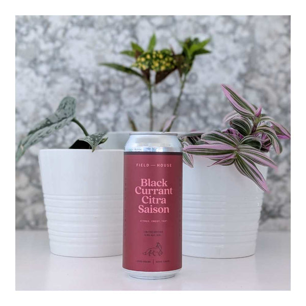 Field House Brewing Co. Black Currant CItra Saison