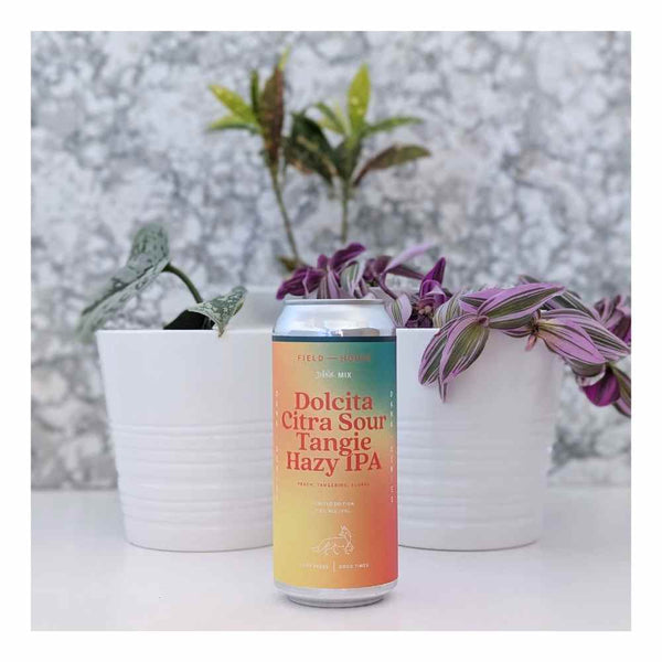 Field House Brewing Co. Dolcita Citra Sour Tangie Hazy IPA