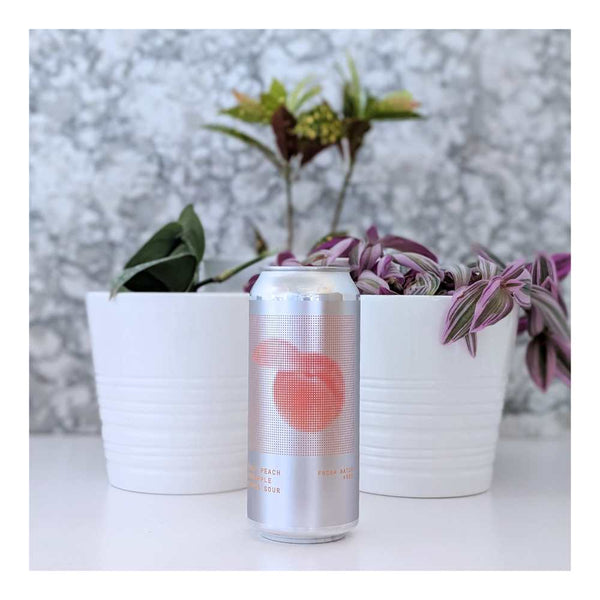 Field House Brewing Co. Fuzzy Peach Pineapple Citrus Sour