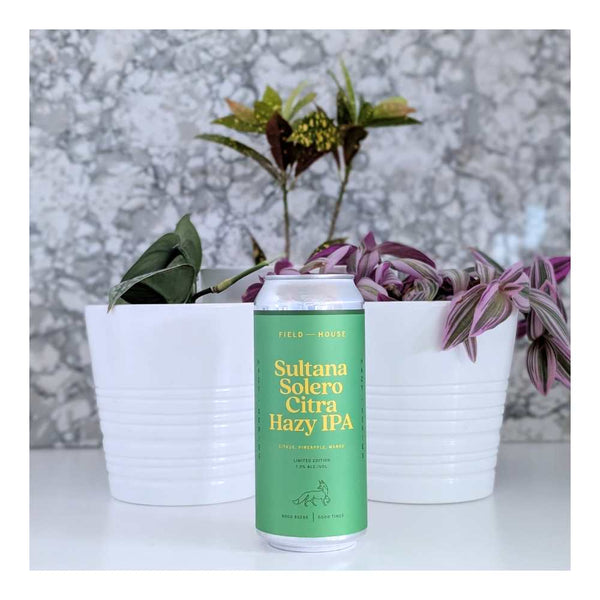 Field House Brewing Co. Sultana Solero Citra Hazy IPA