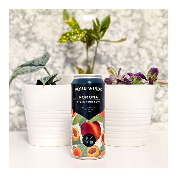 Four Winds Brewing Co. Pomona (2025) Stone Fruit Sour