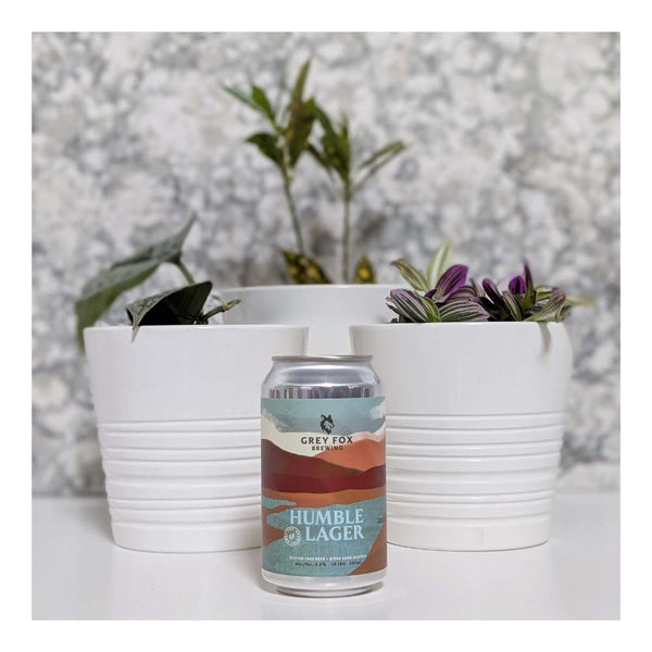 Grey Fox Brewing	Humble Lager Gluten Free