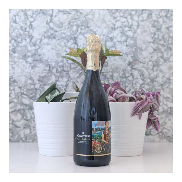 Gualtieri Il Ligabue Lambrusco Reggiano Red Wine