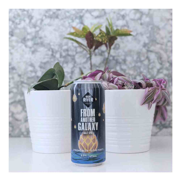 High River Brewing Co. From Another Galaxy Hazy IPA