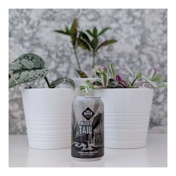 High River Brewing Co. Muddy Tail Stout