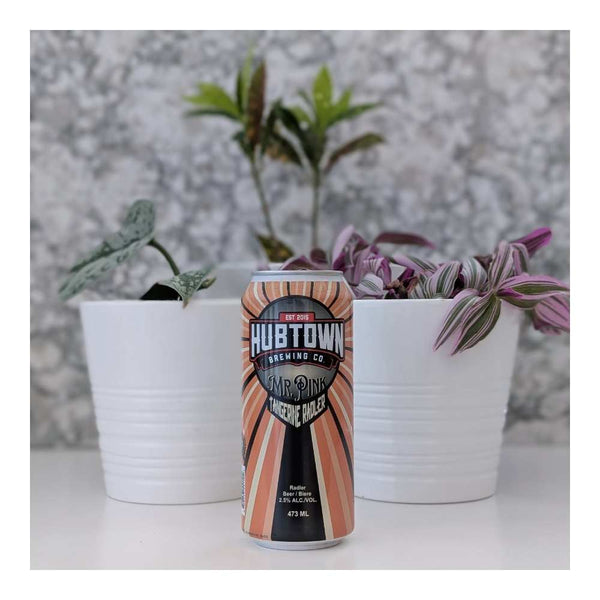 Hub Town Brewing Co. Mr. Pink Tangerine Radler