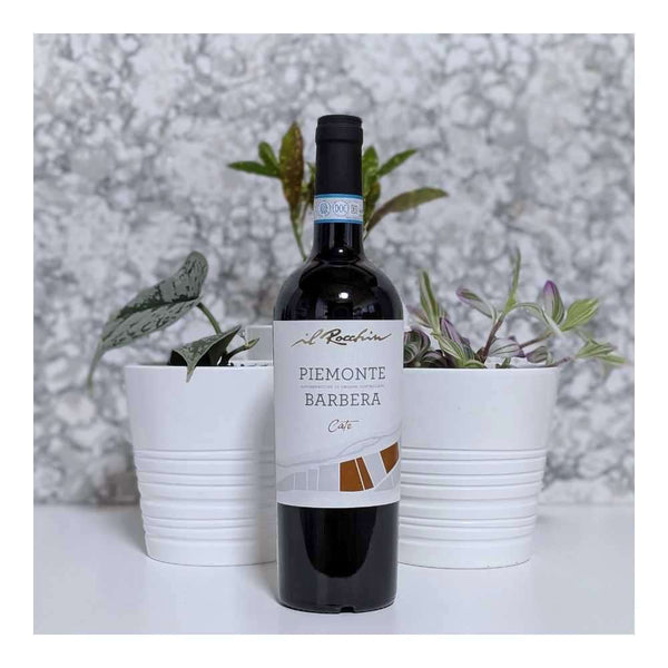 Il Rocchin Piemonte Barbera Red Wine
