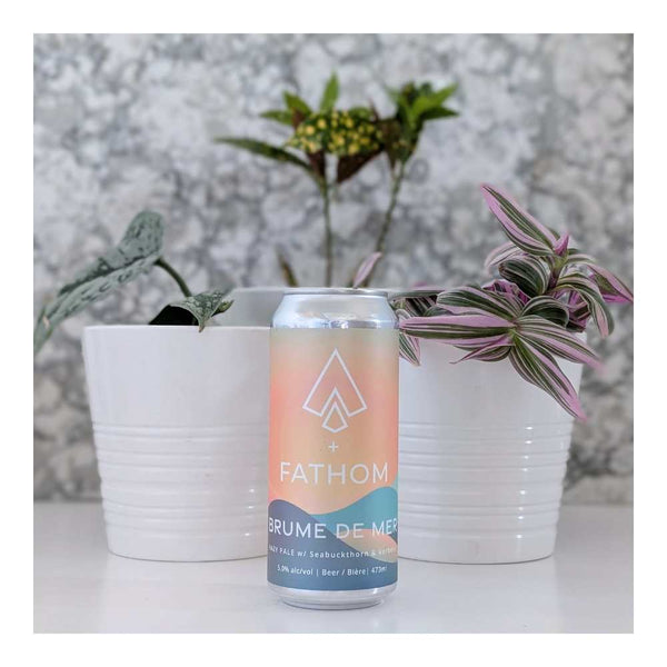 Ile Sauvage Brewing Co. Brume De Mer Hazy Pale Ale