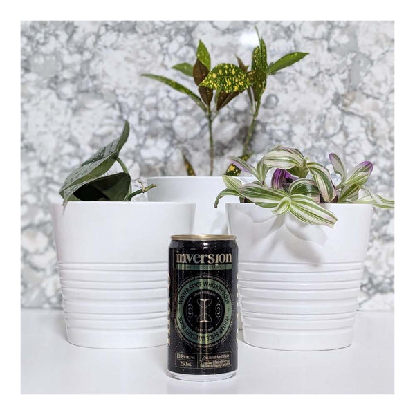 Inversion Nitro Cocktails Winter Spice Whiskey Sour