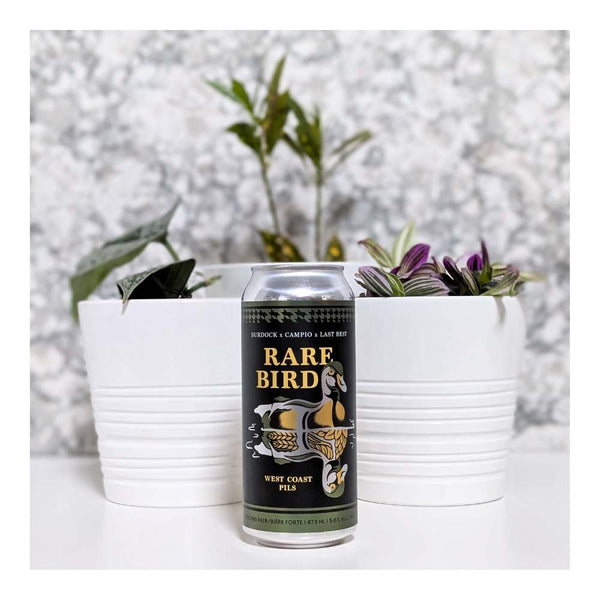 Last Best Brewing & Distilling x Campio Brewing Co. x Burdock Brewery Rare Birds West Coast Pilsner