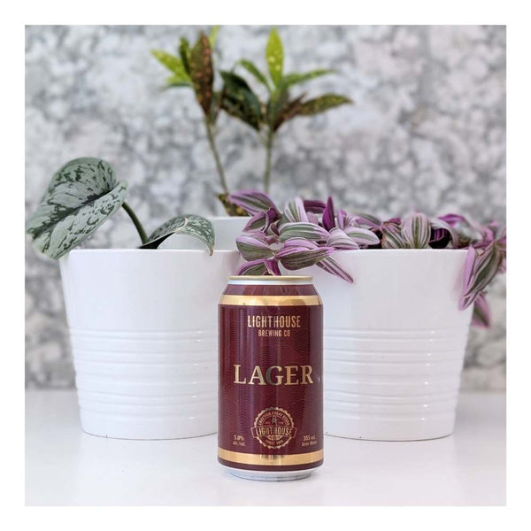 Lighthouse Brewing Co. Lager