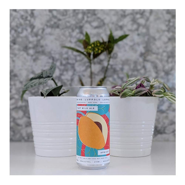 Luppolo Brewing Co. Serie Selvatica Apricot Tart Wild Ale