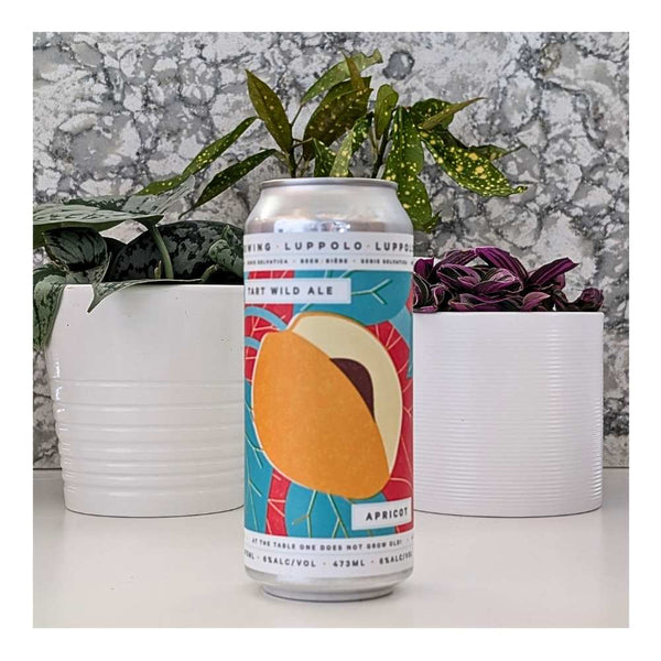 Luppolo Brewing Co. Serie Selvatica Apricot Tart Wild Ale