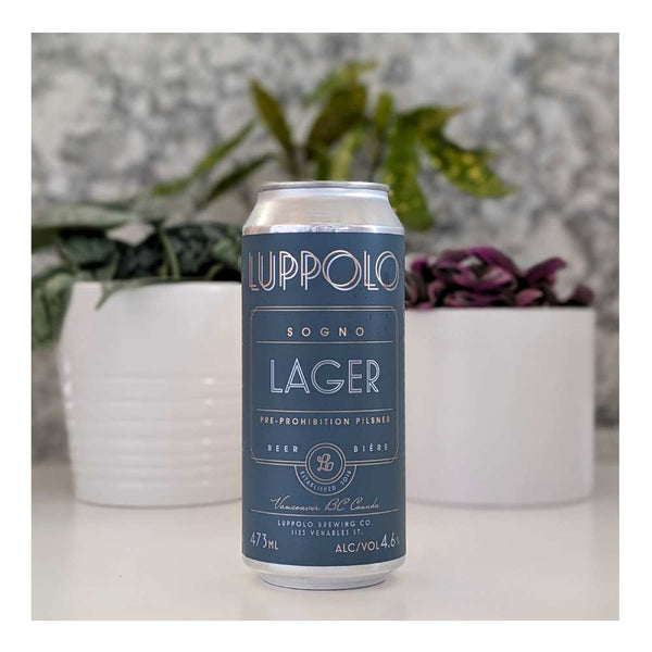 Luppolo Brewing Co. Sogno Classic American Pilsner