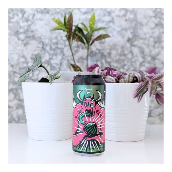 New Level Brewing Watermelon Demon Sour