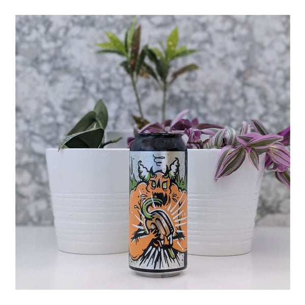 New Level Brewing Orange Demon Sour