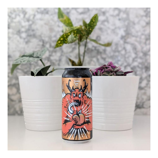 New Level Brewing Peach Demon Sour
