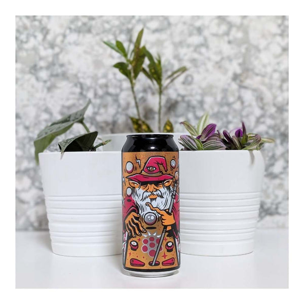 New Level Brewing Pinball Wizard Raspberry Sour