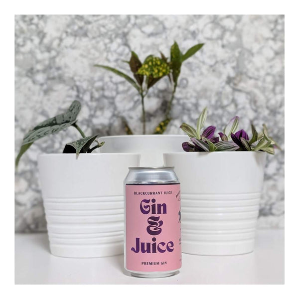 NiceLife Cocktail Co. Gin & Juice - Blackcurrant Gin Cocktail