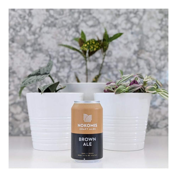 Nokomis Craft Ales Brown Ale