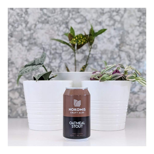Nokomis Craft Ales Oatmeal Stout