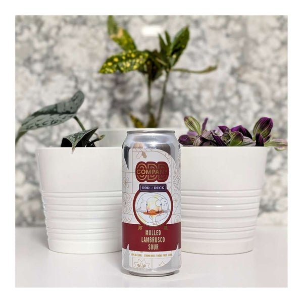Odd Company Brewing Mulled Lambrusco Sour