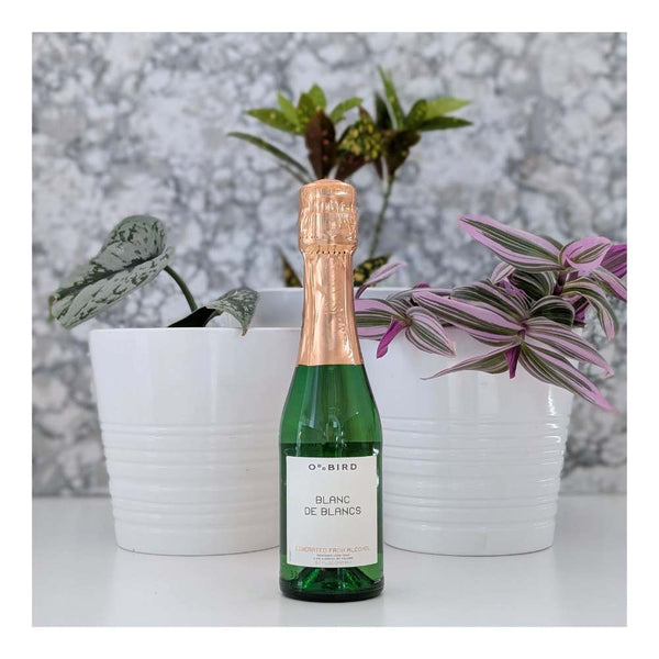 Oddbird Blanc De Blancs Chardonnay Non-Alcoholic Sparkling White Wine 200ml