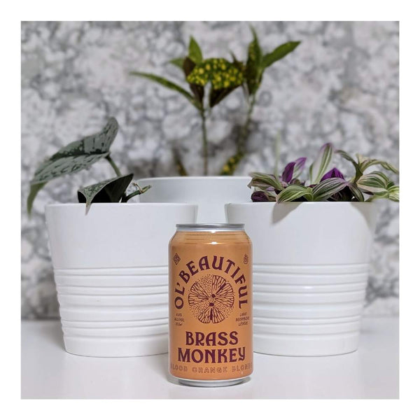 Ol' Beautiful Brewing Company Brass Monkey Blood Orange Blonde