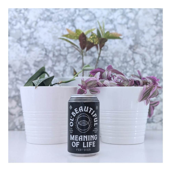 Ol' Beautiful Brewing Company x The Establishment Meaning of Life Festbier Lager