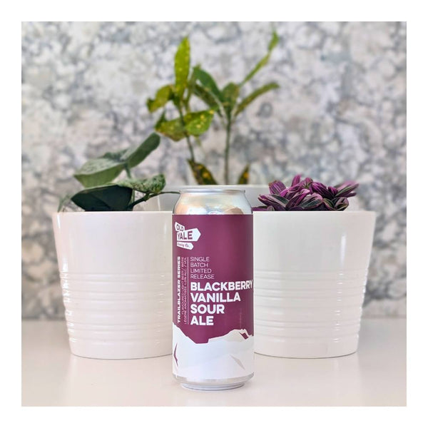 Old Yale Brewing Blackberry Vanilla Sour Ale