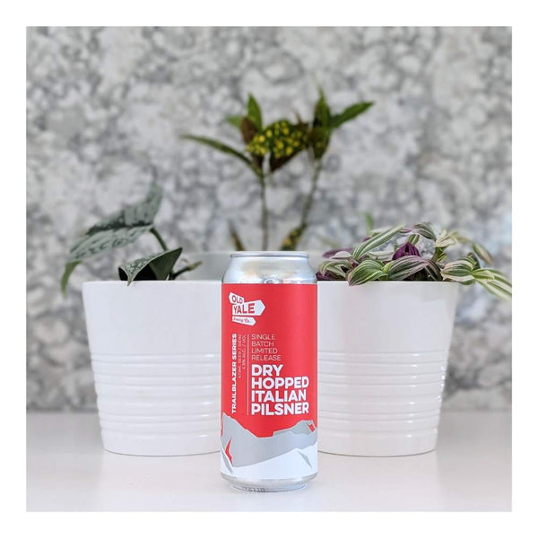 Old Yale Brewing Dry Hopped Italian Pilsner