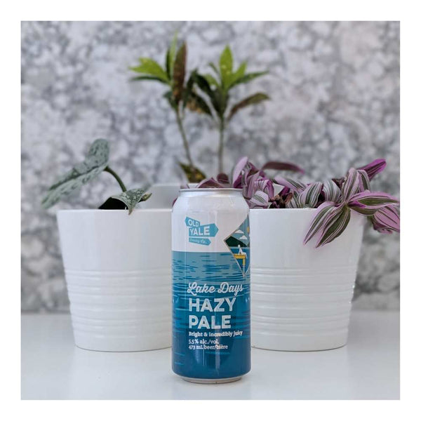 Old Yale Brewing Lake Life Hazy Pale Ale