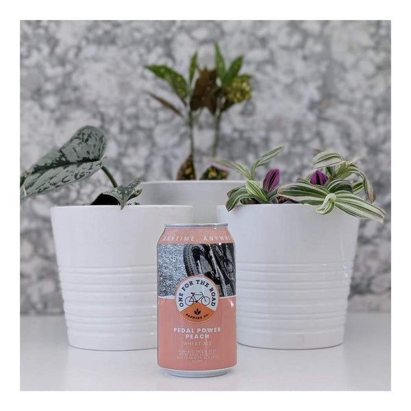 One For The Road Brewing Pedal Power Non-Alcoholic Peach Wheat Ale