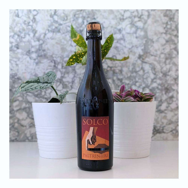 Paltrinieri Solco Lambrusco