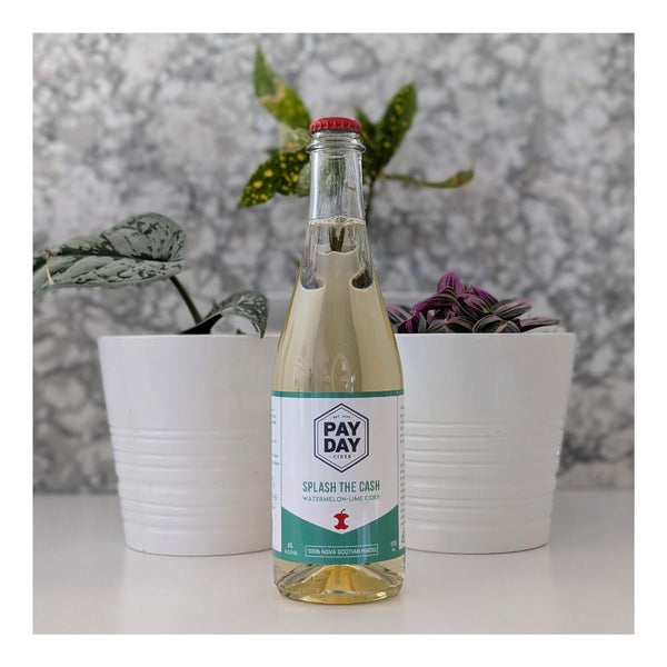 Payday Cider Splash the Cash Apple Cider With Watermelon and Lime