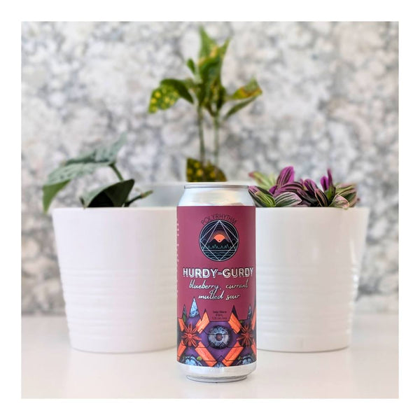 Polyrhythm Brewing Hurdy-Gurdy Blackcurrant, Blueberry Mulled Sour