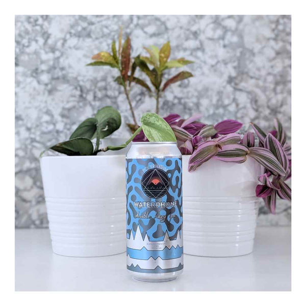 Polyrhythm Brewing Waterphone Double Hazy IPA