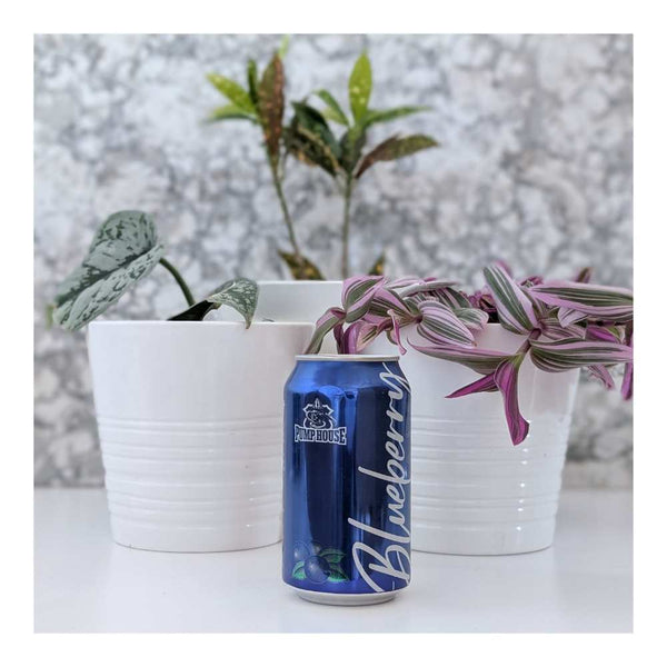 Pump House Brewery Blueberry Ale