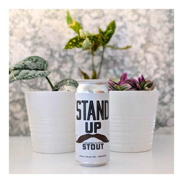R&B Brewing Stand Up Cinnamon Oatmeal Stout