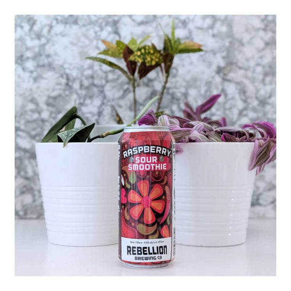 Rebellion Brewing Co. Raspberry Sour Smoothie