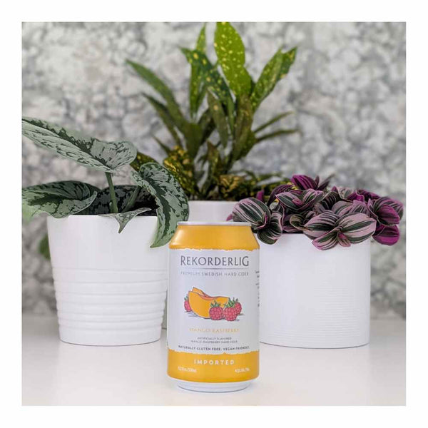 Rekorderlig Cider Mango Raspberry Cider