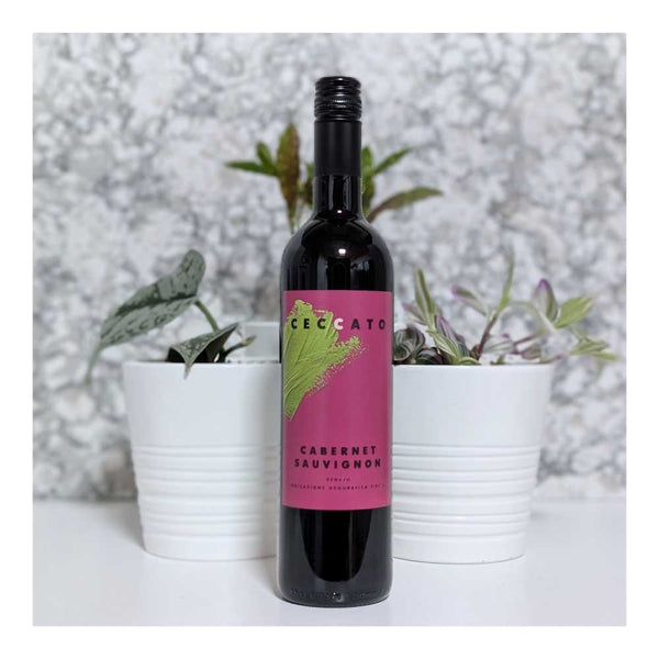 Riondo Ceccato Cabernet Sauvignon Red Wine
