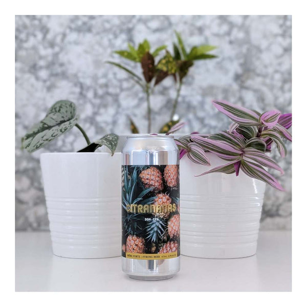 Sir John Brewing Co. Citrananas DDH Hazy IPA with Pineapple