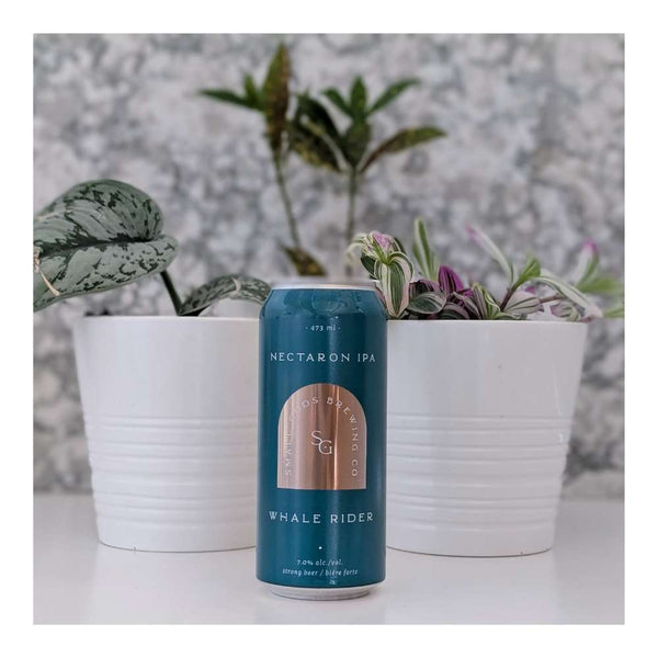 Small Gods Brewing Co. Whale Rider Hazy IPA